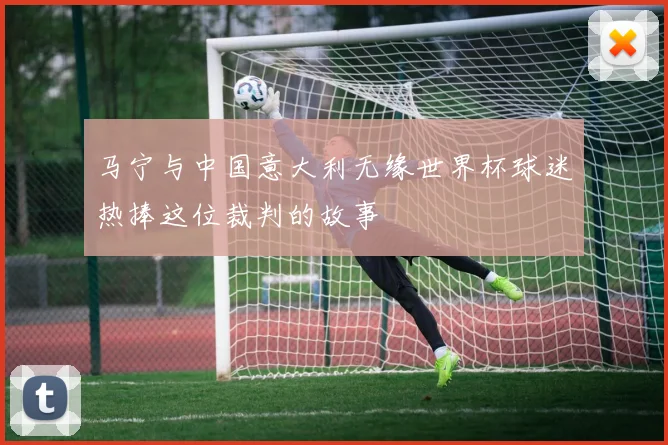 马宁与中国意大利无缘世界杯球迷热捧这位裁判的故事